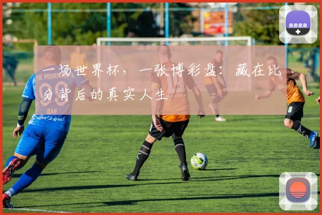 一场世界杯,一张博彩盘:藏在比分背后的真实人生
