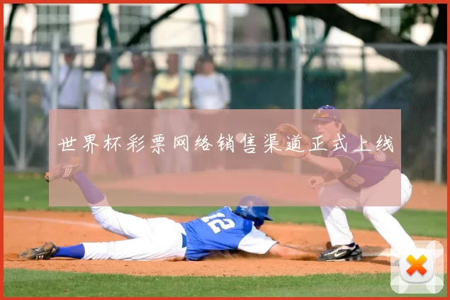 世界杯彩票网络销售渠道正式上线