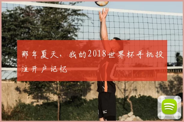 那年夏天,我的2018世界杯手机投注开户记忆