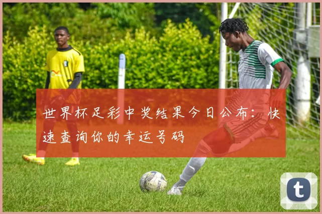 世界杯足彩中奖结果今日公布：快速查询你的幸运号码