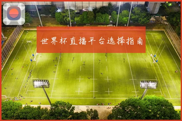 世界杯直播平台选择指南