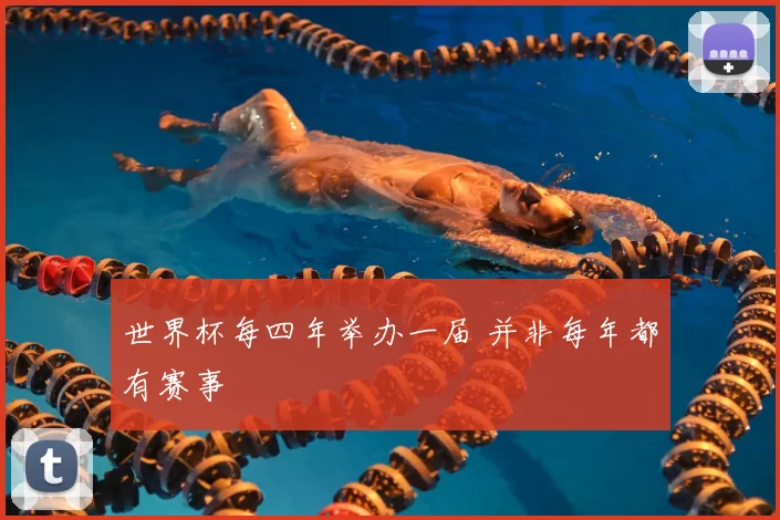 世界杯每四年举办一届 并非每年都有赛事