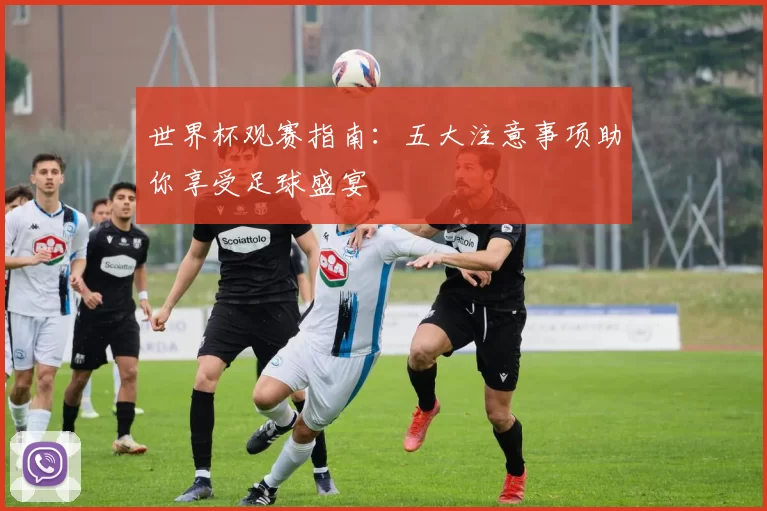 世界杯观赛指南:五大注意事项助你享受足球盛宴
