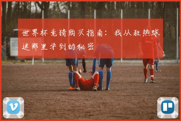 世界杯竞猜购买指南:我从狂热球迷那里学到的秘密