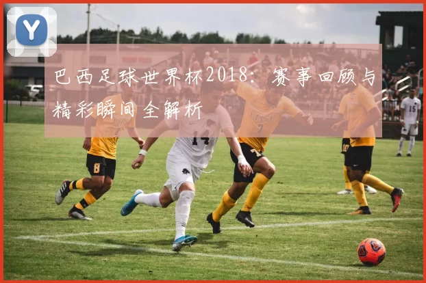 巴西足球世界杯2018:赛事回顾与精彩瞬间全解析