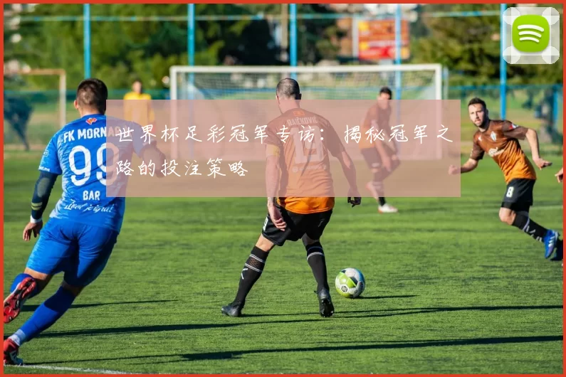 世界杯足彩冠军专访：揭秘冠军之路的投注策略