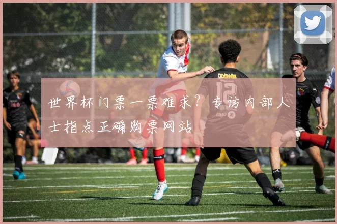 世界杯门票一票难求？专访内部人士指点正确购票网站